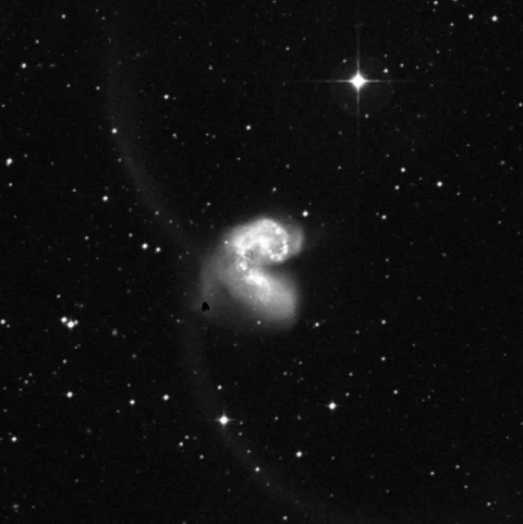 Imagem de referência (DSS2) de Arp 244 — NGC 4038/9 — objeto ainda não capturado no observatório
