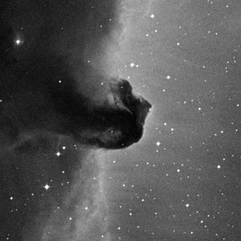 Imagem de referência (DSS2) de B33 — Horsehead Nebula — objeto ainda não capturado no observatório
