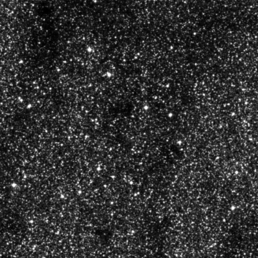 Imagem de referência (DSS2) de B87 — Parrot’s Head — objeto ainda não capturado no observatório