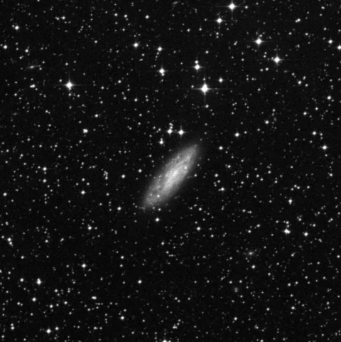 Imagem de referência (DSS2) de ESO265-007 — objeto ainda não capturado no observatório