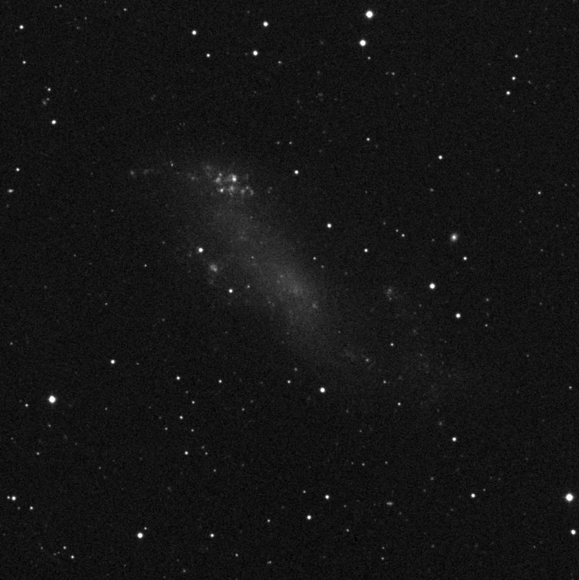 Imagem de referência (DSS2) de IC 2574 — Coddington’s Nebula — objeto ainda não capturado no observatório