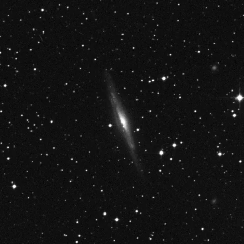 Imagem de referência (DSS2) de IC 4351 — objeto ainda não capturado no observatório