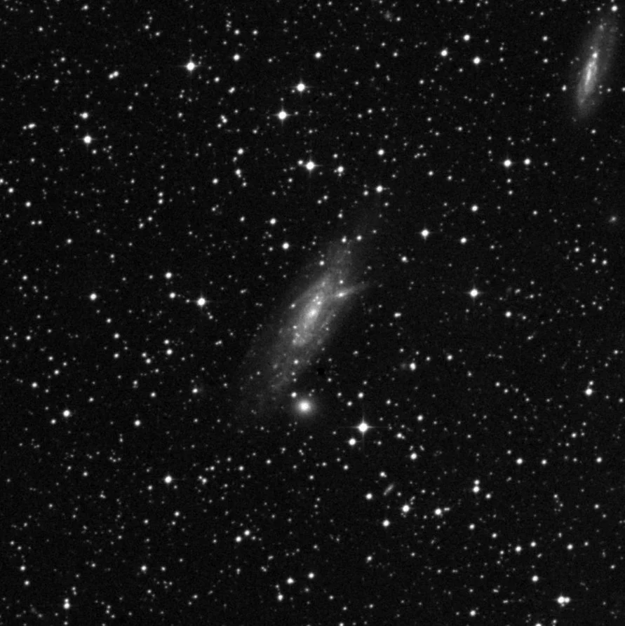 Imagem de referência (DSS2) de IC 4721 — objeto ainda não capturado no observatório