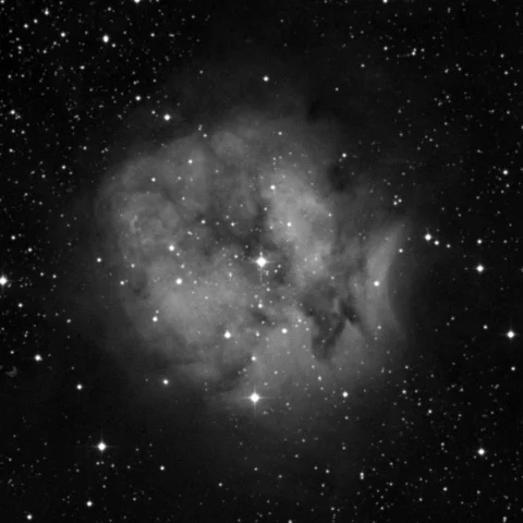 Imagem de referência (DSS2) de IC 5146 — Cocoon Nebula — objeto ainda não capturado no observatório