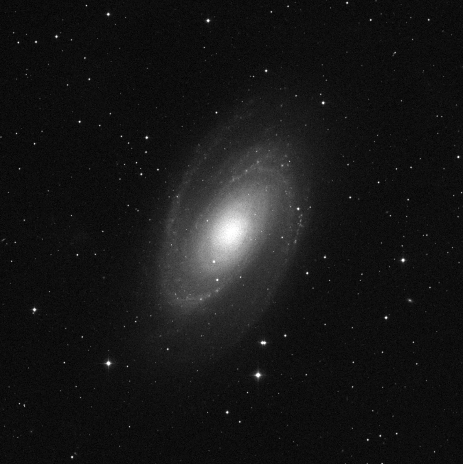 Imagem de referência (DSS2) de M81 — Galáxia de Bode — objeto ainda não capturado no observatório