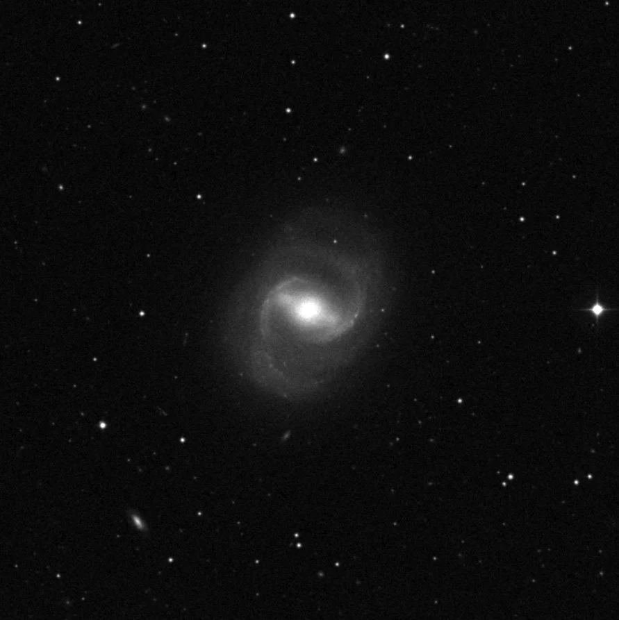 Imagem de referência (DSS2) de M91 — objeto ainda não capturado no observatório