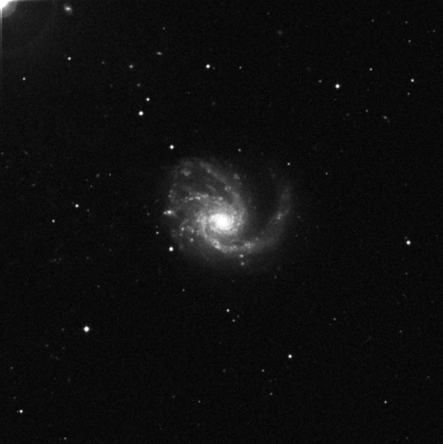 Imagem de referência (DSS2) de M99 — Coma Pinwheel — objeto ainda não capturado no observatório