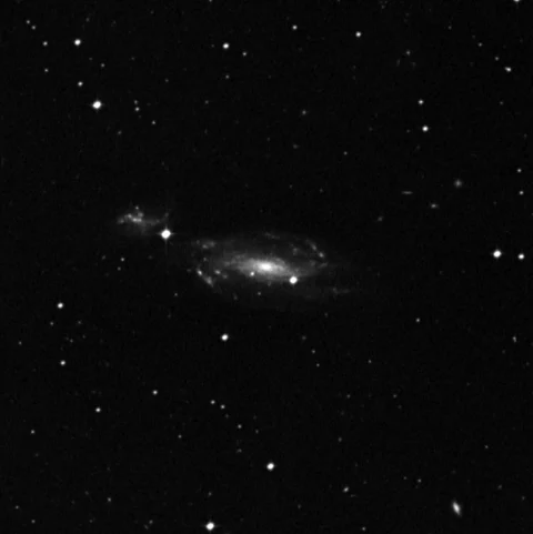 Imagem de referência (DSS2) de NGC 1253 — objeto ainda não capturado no observatório