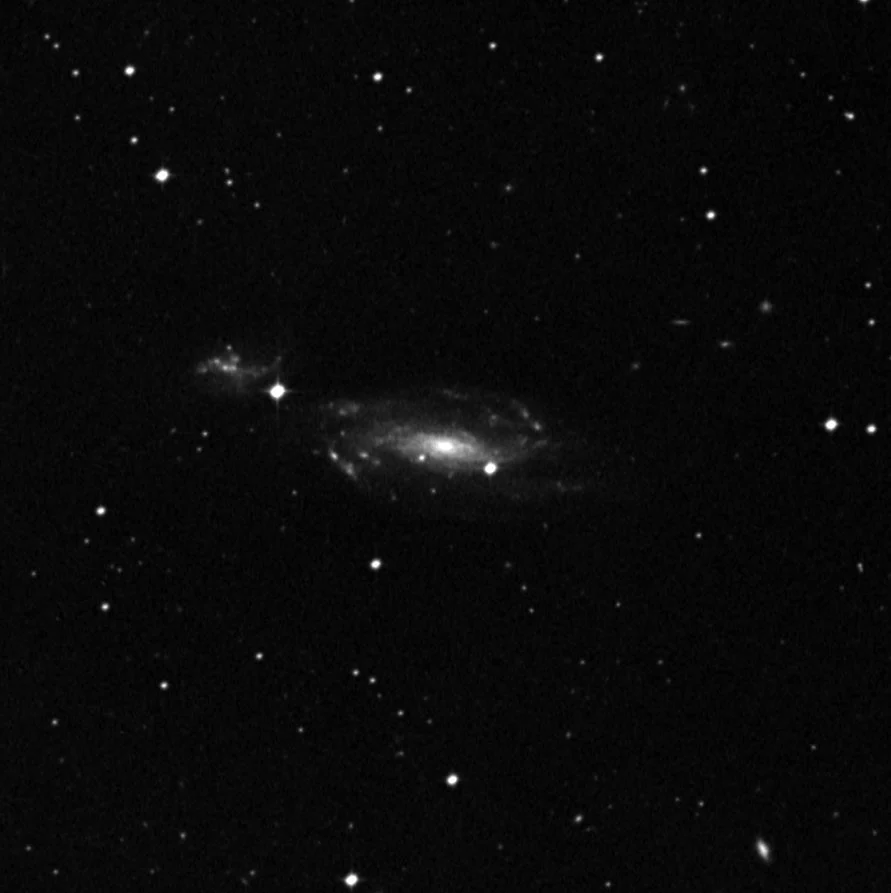 Imagem de referência (DSS2) de NGC 1253 — objeto ainda não capturado no observatório