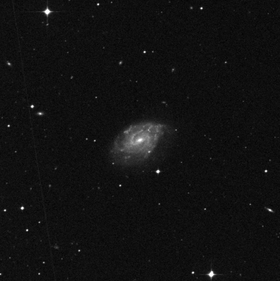 Imagem de referência (DSS2) de NGC 1255 — objeto ainda não capturado no observatório