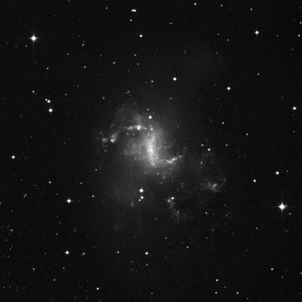 Imagem de referência (DSS2) de NGC 1313 — objeto ainda não capturado no observatório