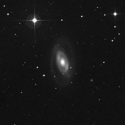 Imagem de referência (DSS2) de NGC 1350 — objeto ainda não capturado no observatório