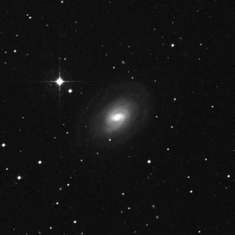 Imagem de referência (DSS2) de NGC 1367 — objeto ainda não capturado no observatório