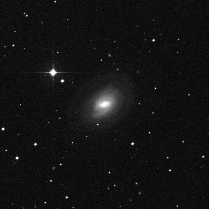 Imagem de referência (DSS2) de NGC 1367 — objeto ainda não capturado no observatório