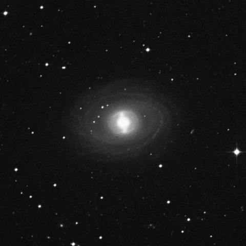 Imagem de referência (DSS2) de NGC 1398 — objeto ainda não capturado no observatório