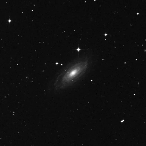 Imagem de referência (DSS2) de NGC 1425 — objeto ainda não capturado no observatório