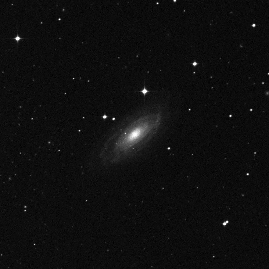 Imagem de referência (DSS2) de NGC 1425 — objeto ainda não capturado no observatório
