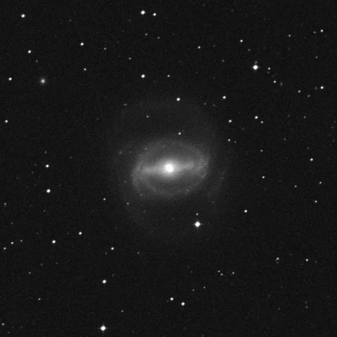 Imagem de referência (DSS2) de NGC 1433 — objeto ainda não capturado no observatório