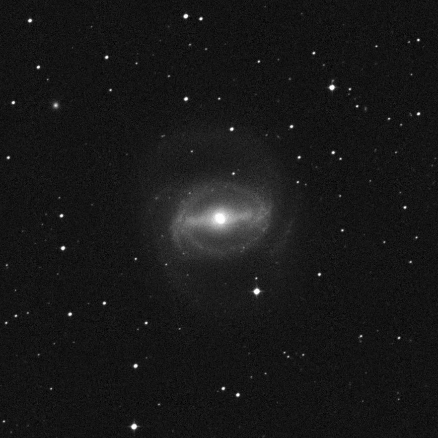 Imagem de referência (DSS2) de NGC 1433 — objeto ainda não capturado no observatório