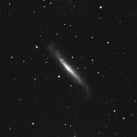 Imagem de referência (DSS2) de NGC 1448 — objeto ainda não capturado no observatório