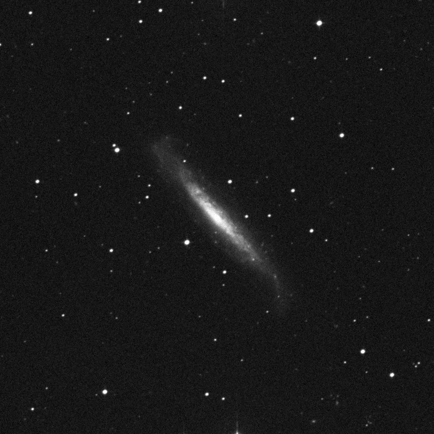 Imagem de referência (DSS2) de NGC 1448 — objeto ainda não capturado no observatório