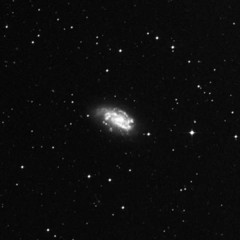 Imagem de referência (DSS2) de NGC 1559 — objeto ainda não capturado no observatório