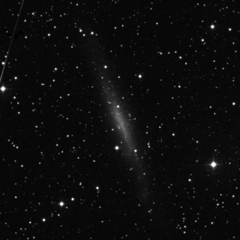 Imagem de referência (DSS2) de NGC 1560 — objeto ainda não capturado no observatório