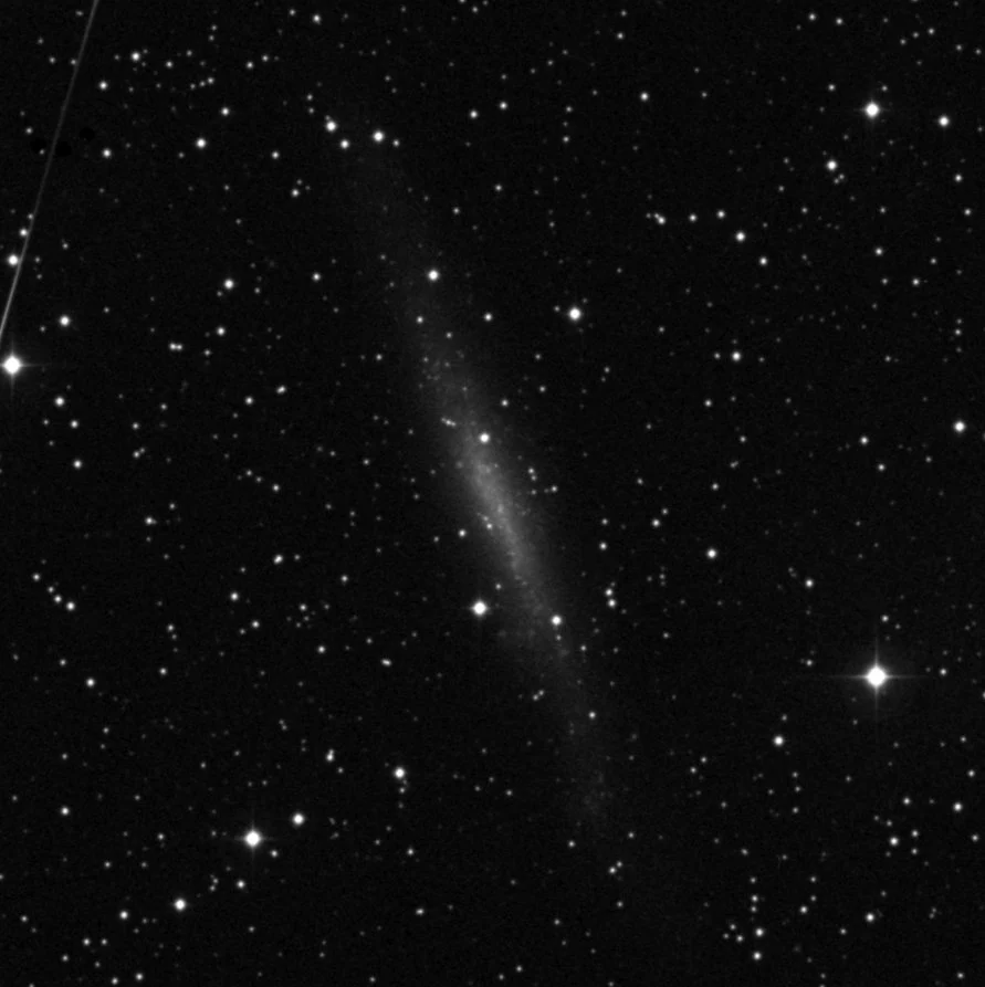 Imagem de referência (DSS2) de NGC 1560 — objeto ainda não capturado no observatório