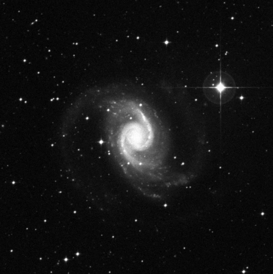 Imagem de referência (DSS2) de NGC 1566 — objeto ainda não capturado no observatório