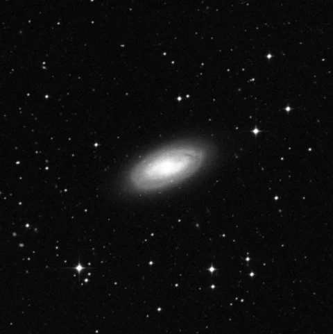 Imagem de referência (DSS2) de NGC 1617 — objeto ainda não capturado no observatório