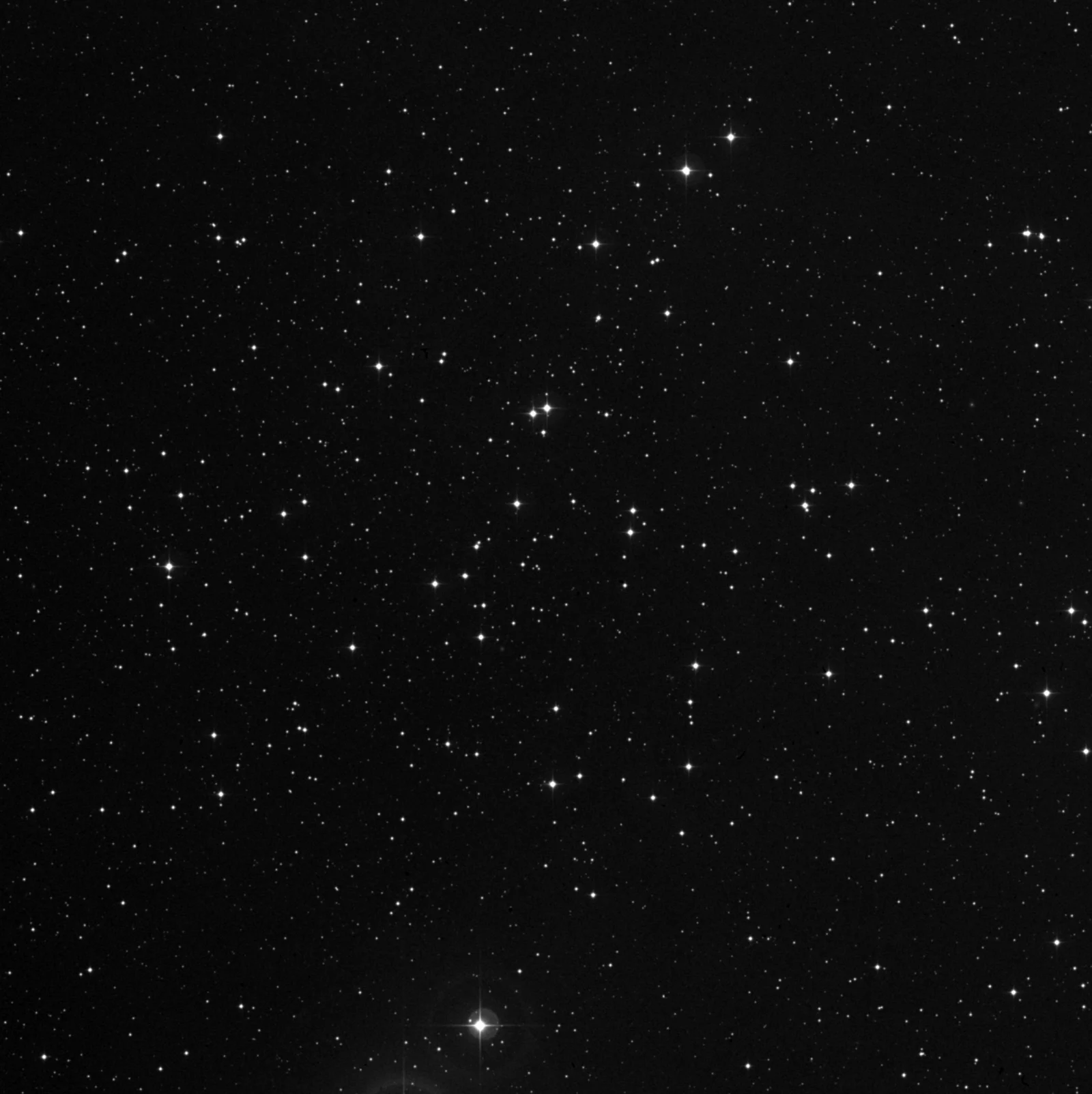 Imagem de referência (DSS2) de NGC 1647 — objeto ainda não capturado no observatório