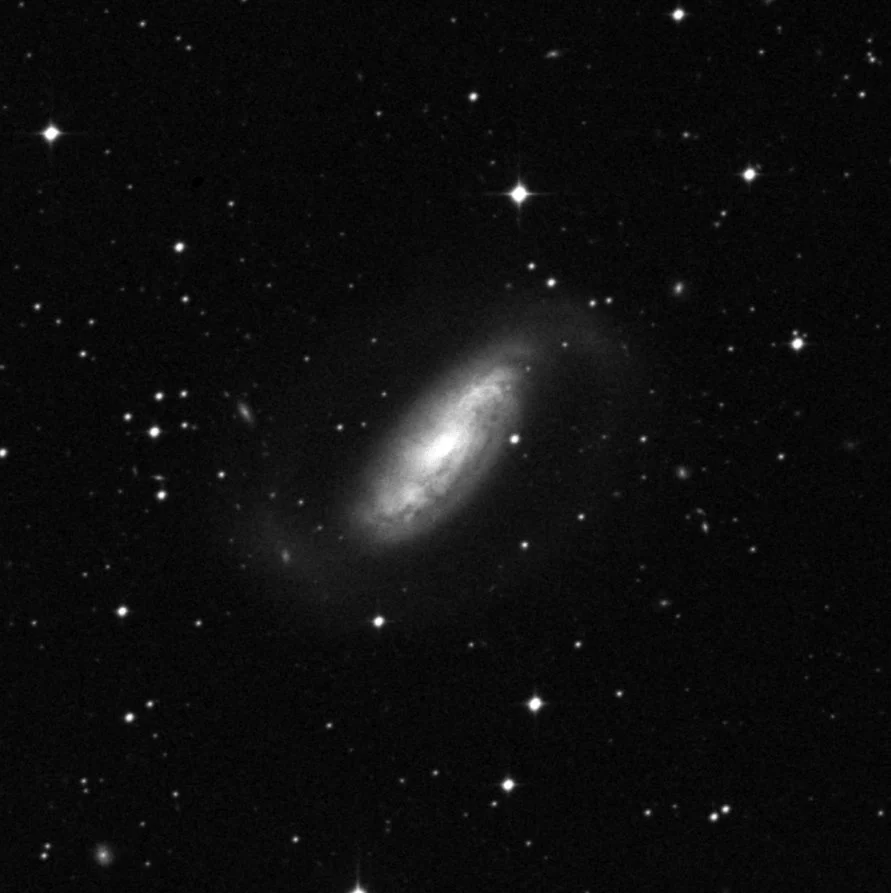 Imagem de referência (DSS2) de NGC 1808 — objeto ainda não capturado no observatório
