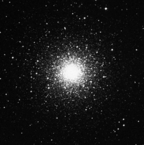 Imagem de referência (DSS2) de NGC 1851 — objeto ainda não capturado no observatório