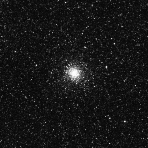 Imagem de referência (DSS2) de NGC 1866 — objeto ainda não capturado no observatório