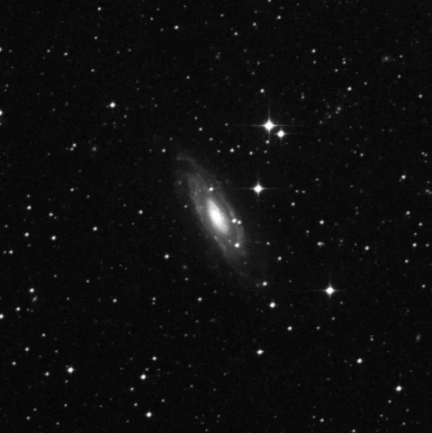 Imagem de referência (DSS2) de NGC 1964 — objeto ainda não capturado no observatório