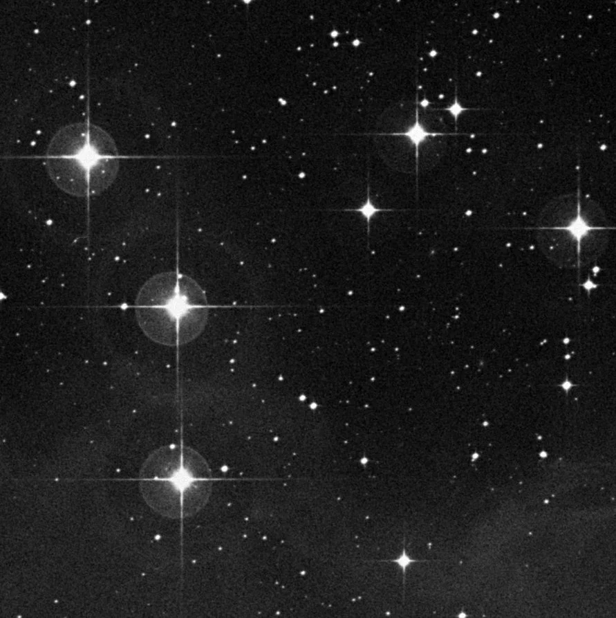 Imagem de referência (DSS2) de NGC 1981 — Upper Sword — objeto ainda não capturado no observatório