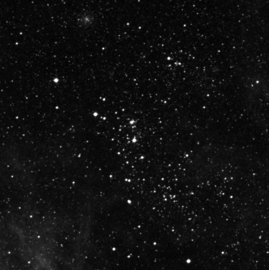 Imagem de referência (DSS2) de NGC 2042 — objeto ainda não capturado no observatório