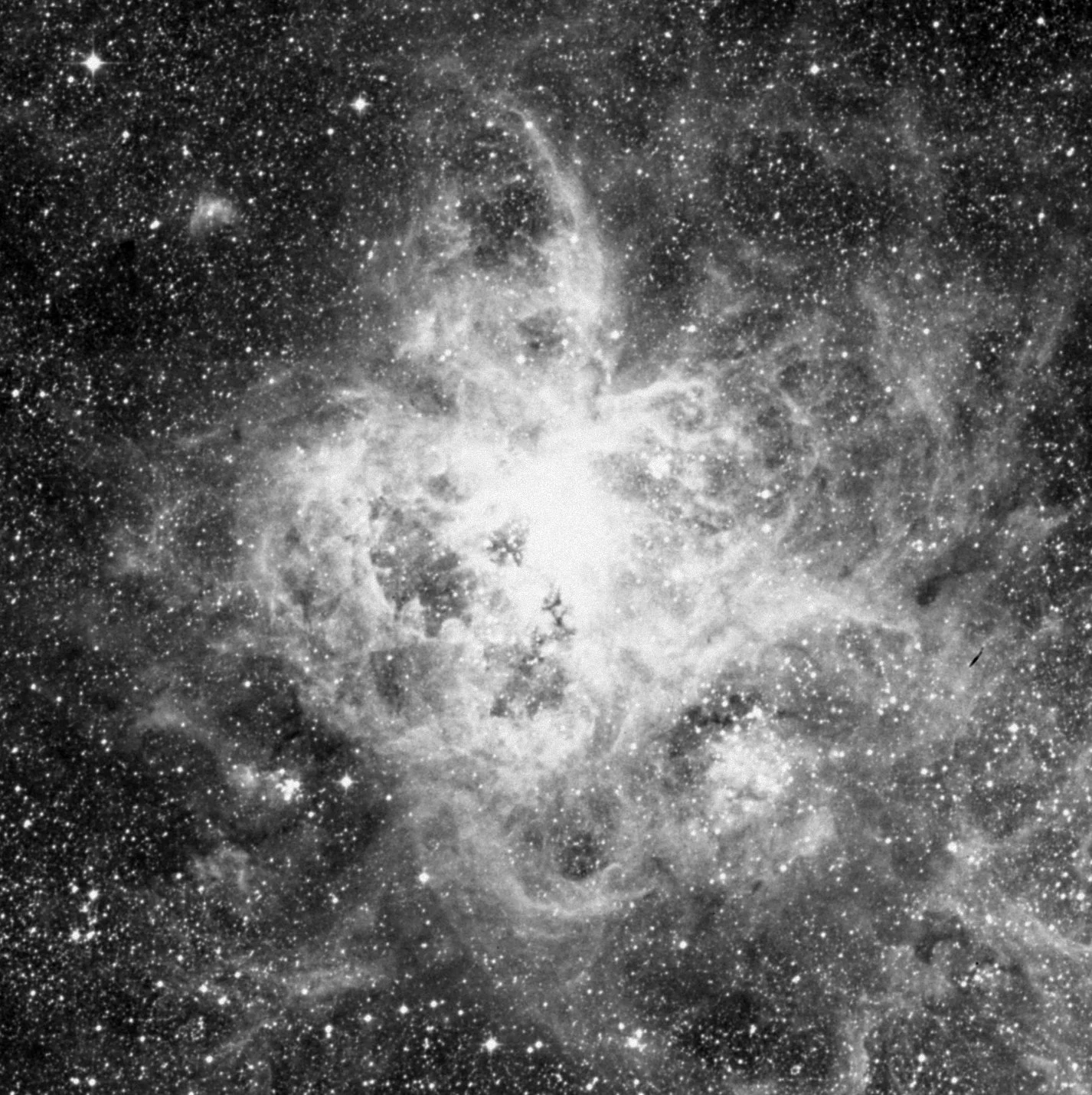 Imagem de referência (DSS2) de NGC 2070 — Nebulosa da Tarântula — objeto ainda não capturado no observatório