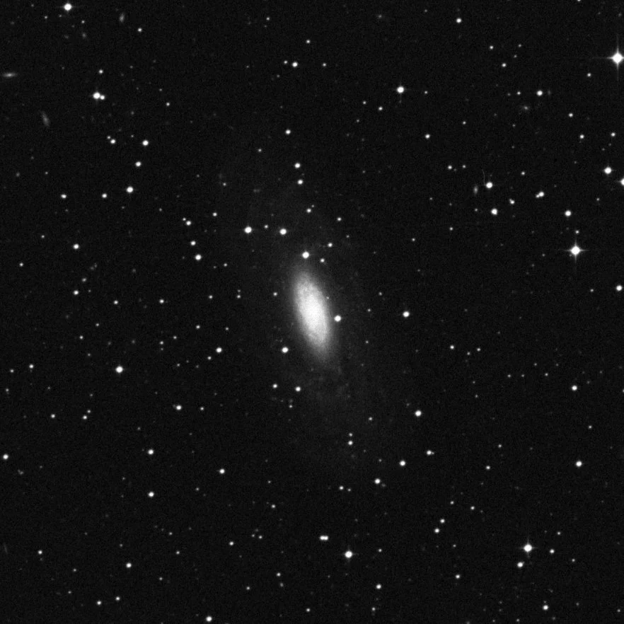 Imagem de referência (DSS2) de NGC 2090 — objeto ainda não capturado no observatório