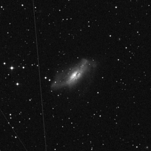 Imagem de referência (DSS2) de NGC 2146 — objeto ainda não capturado no observatório