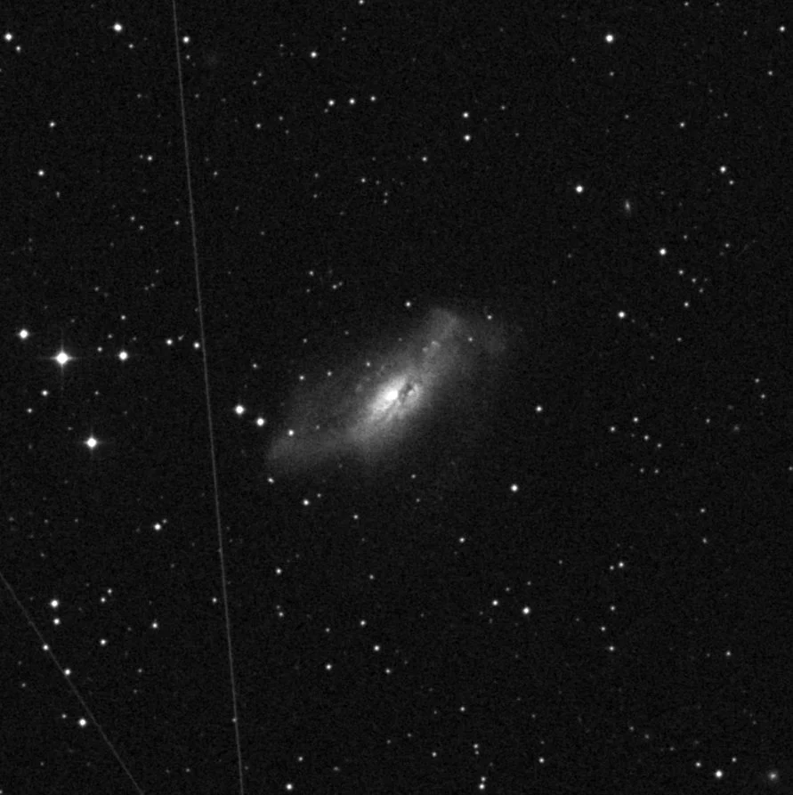 Imagem de referência (DSS2) de NGC 2146 — objeto ainda não capturado no observatório