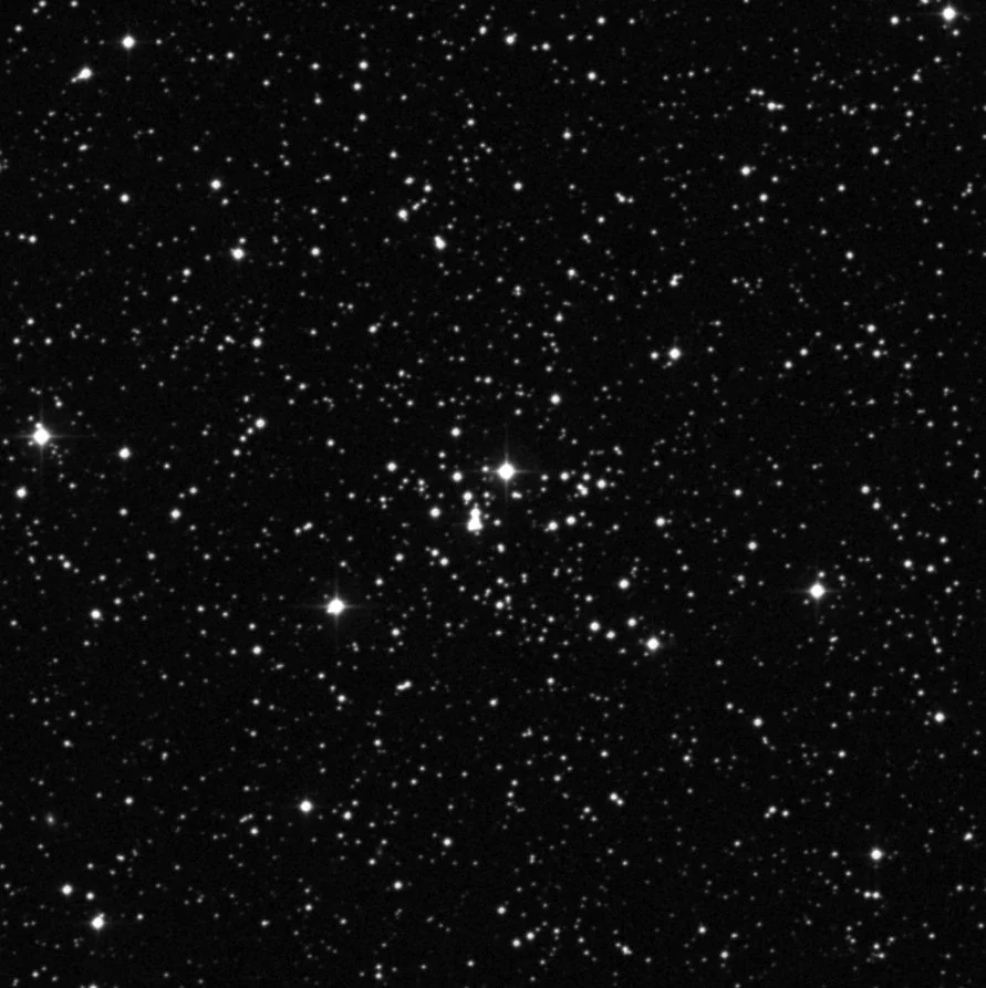 Imagem de referência (DSS2) de NGC 2186 — objeto ainda não capturado no observatório