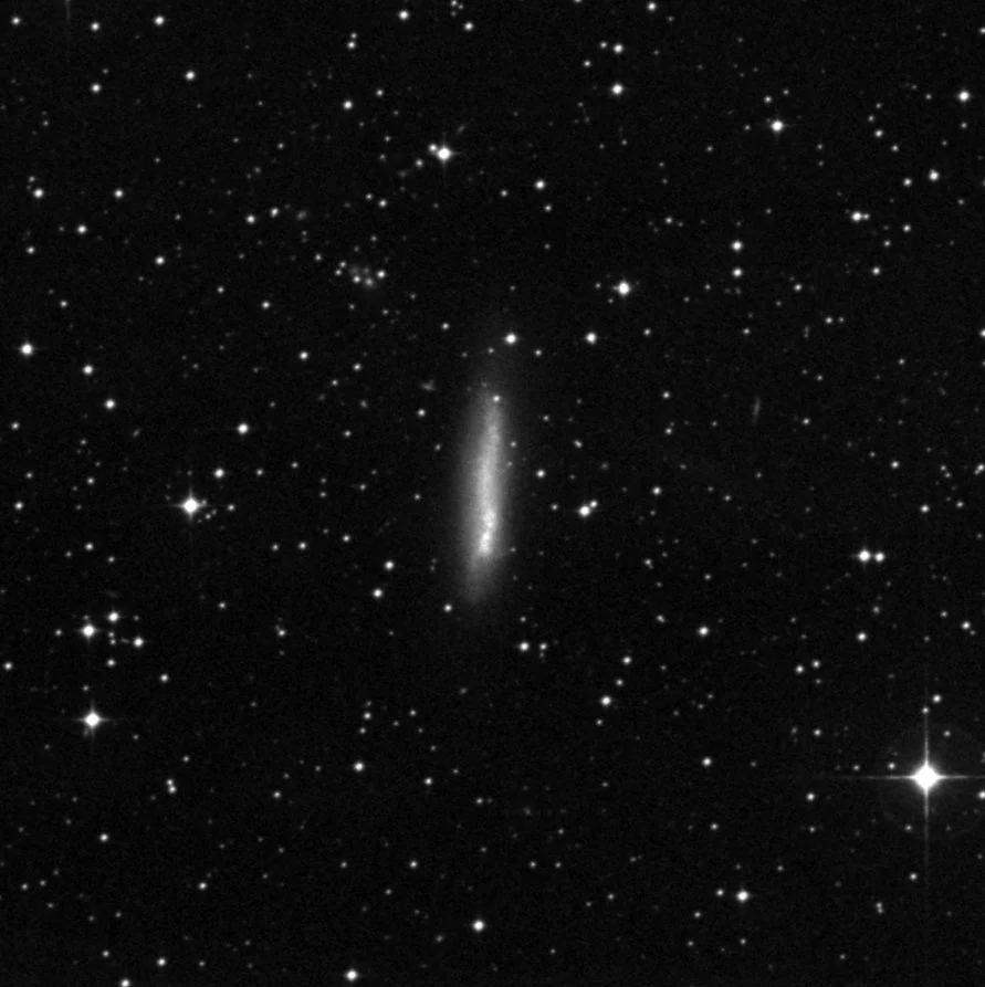 Imagem de referência (DSS2) de NGC 2188 — objeto ainda não capturado no observatório