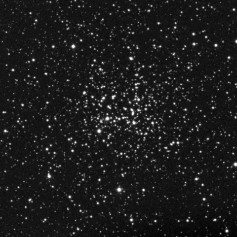 Imagem de referência (DSS2) de NGC 2194 — objeto ainda não capturado no observatório
