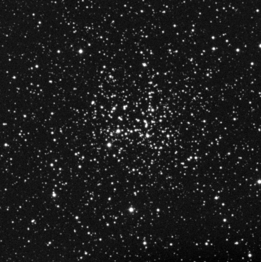 Imagem de referência (DSS2) de NGC 2194 — objeto ainda não capturado no observatório