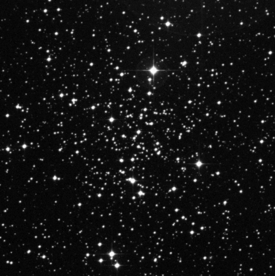 Imagem de referência (DSS2) de NGC 2204 — objeto ainda não capturado no observatório