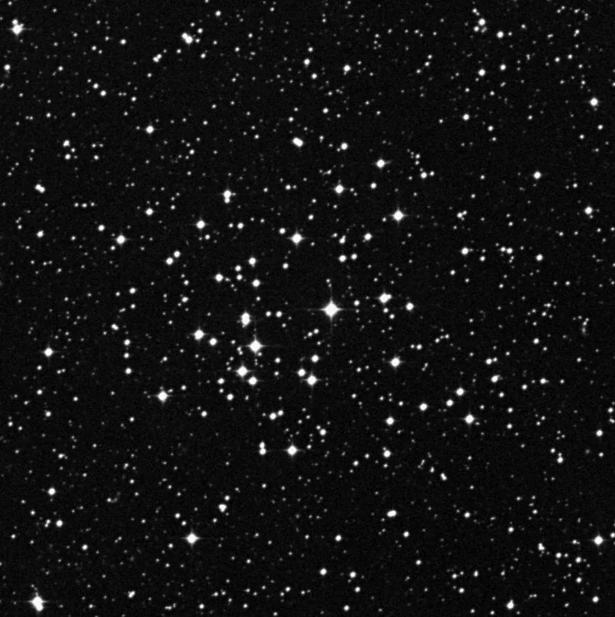 Imagem de referência (DSS2) de NGC 2215 — objeto ainda não capturado no observatório