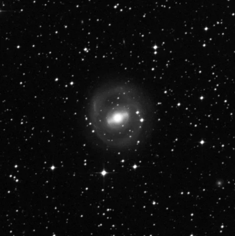 Imagem de referência (DSS2) de NGC 2217 — objeto ainda não capturado no observatório