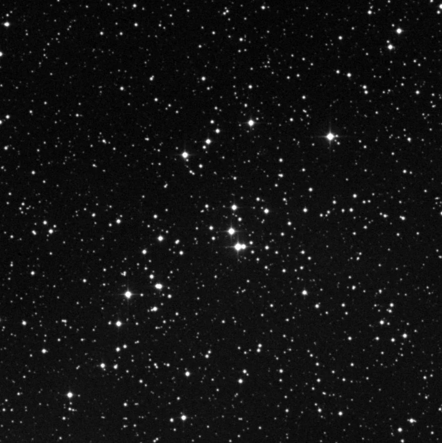 Imagem de referência (DSS2) de NGC 2251 — objeto ainda não capturado no observatório