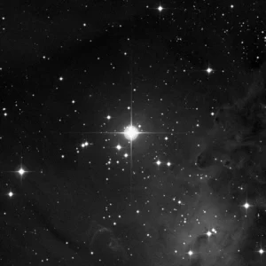 Imagem de referência (DSS2) de NGC 2264 — Nebulosa do Cone e Árvore de Natal — objeto ainda não capturado no observatório